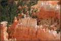 IMG 1715R-cadre : Bryce Canyon